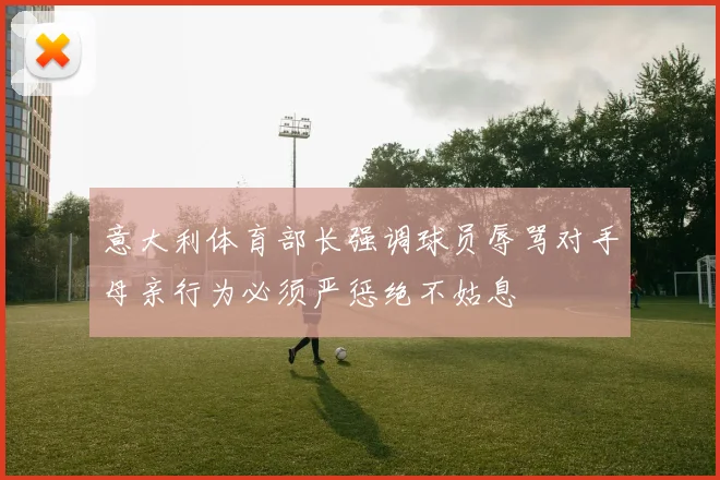 意大利体育部长强调球员辱骂对手母亲行为必须严惩绝不姑息