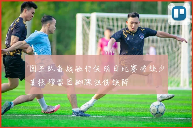 国王队备战独行侠明日比赛将缺少基根穆雷因脚踝扭伤缺阵