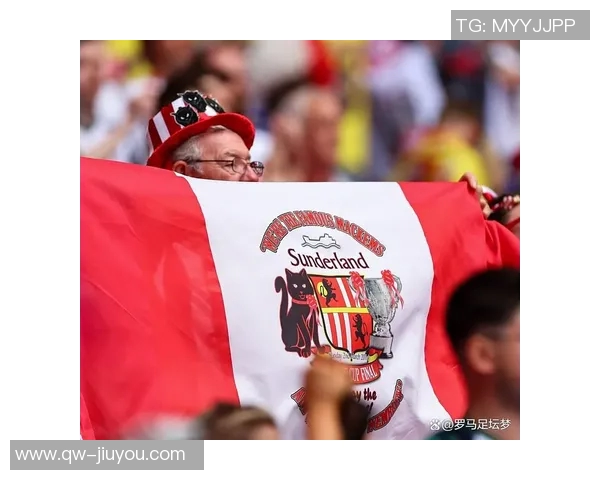 费迪南德称赞拉门斯在对桑德兰的表现增强全队信心展现稳健风范