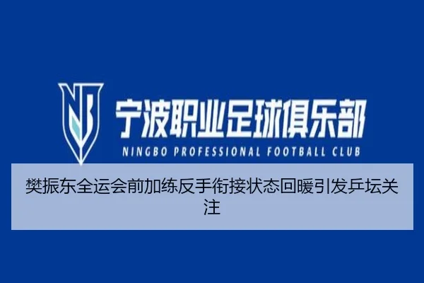 樊振东全运会前加练反手衔接状态回暖引发乒坛关注（jiuyou）